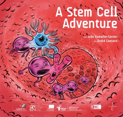 A stem cell adventure